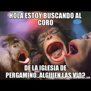 Meet your Posher, Filiberta